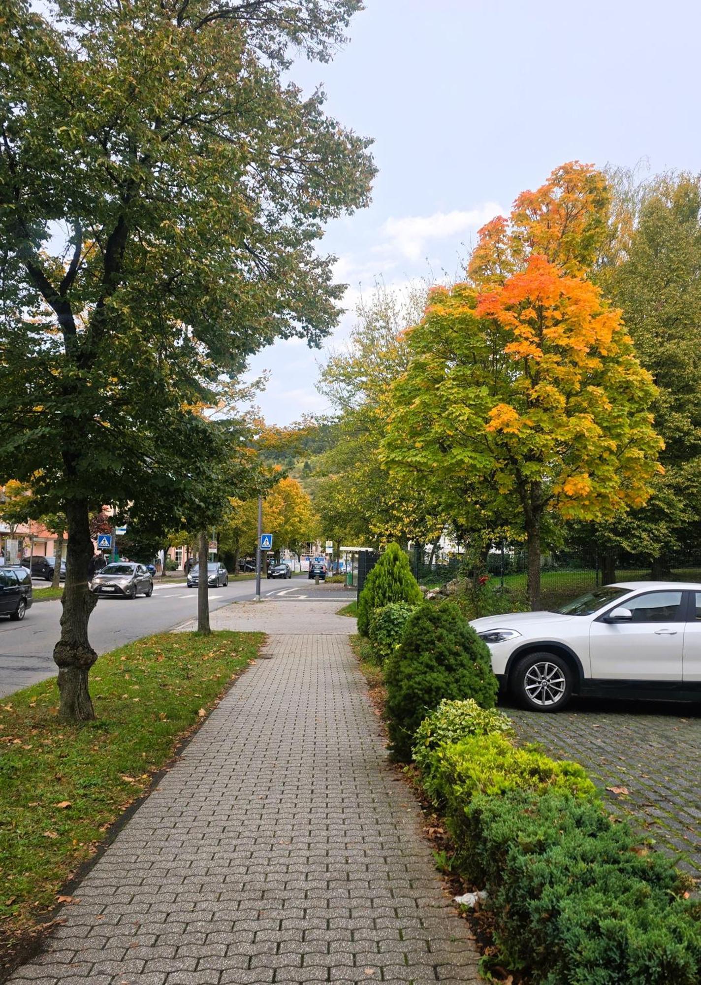 Hotel Zur Moselbruecke Schweich Εξωτερικό φωτογραφία