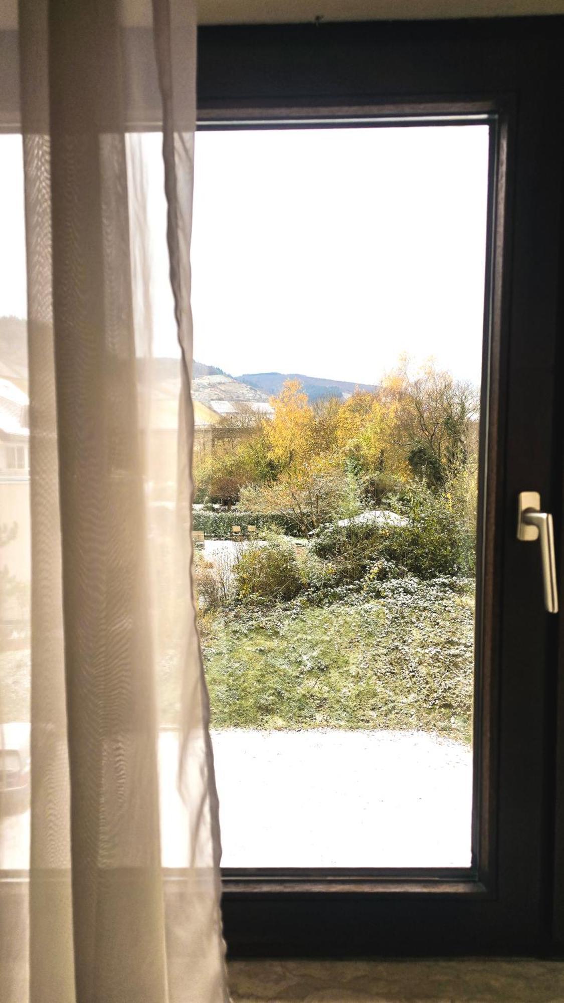 Hotel Zur Moselbruecke Schweich Εξωτερικό φωτογραφία